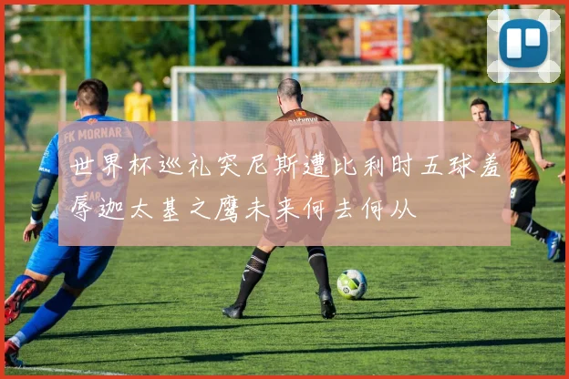 世界杯巡礼突尼斯遭比利时五球羞辱迦太基之鹰未来何去何从